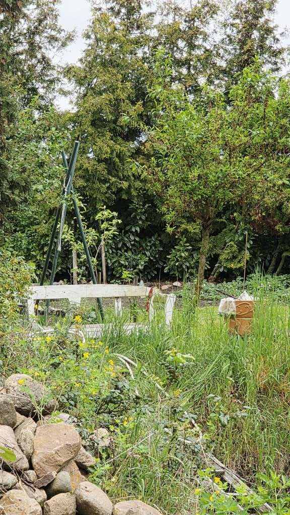 Immobilie in Südliches Anhalt - Einfamilienhaus im Grünen - sanierungsbedürftig, aber lohnenswert - Bild 4