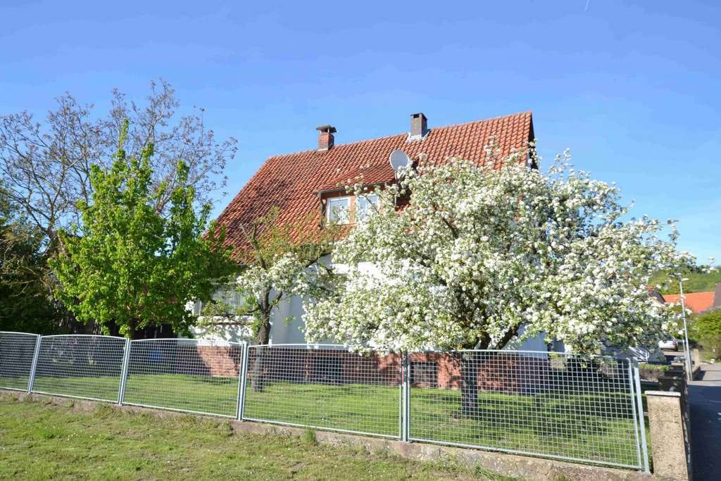 Immobilie in Halle - Freistehendes Einfamilienhaus mit Nebengebäude in 37620 Hunzen! - Bild 4