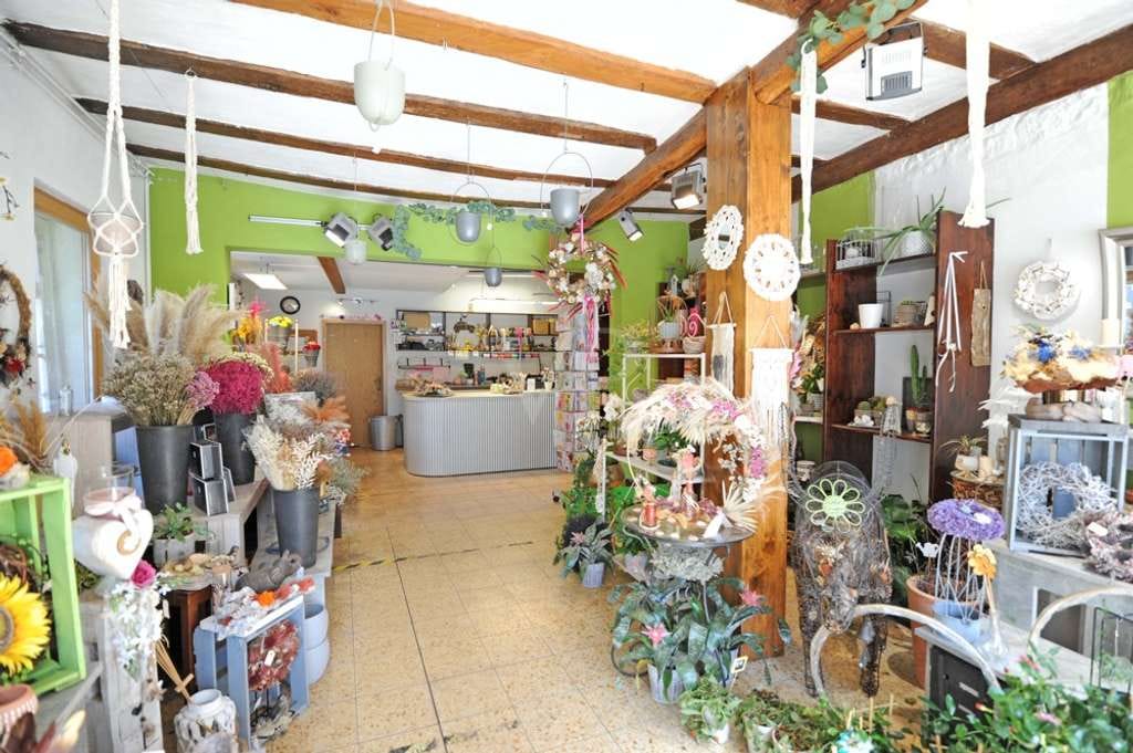 Immobilie in Gau-Odernheim - Denkmalgeschütztes Wohn- und Geschäftshaus mit interessanter Renditemöglichkeit! - Bild 2