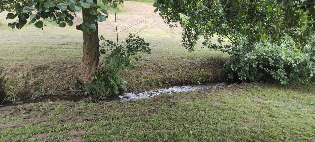 Immobilie in Schieder-Schwalenberg - Schöner Wohnen am Teutoburger Wald mit Bachlauf! - Bild 0