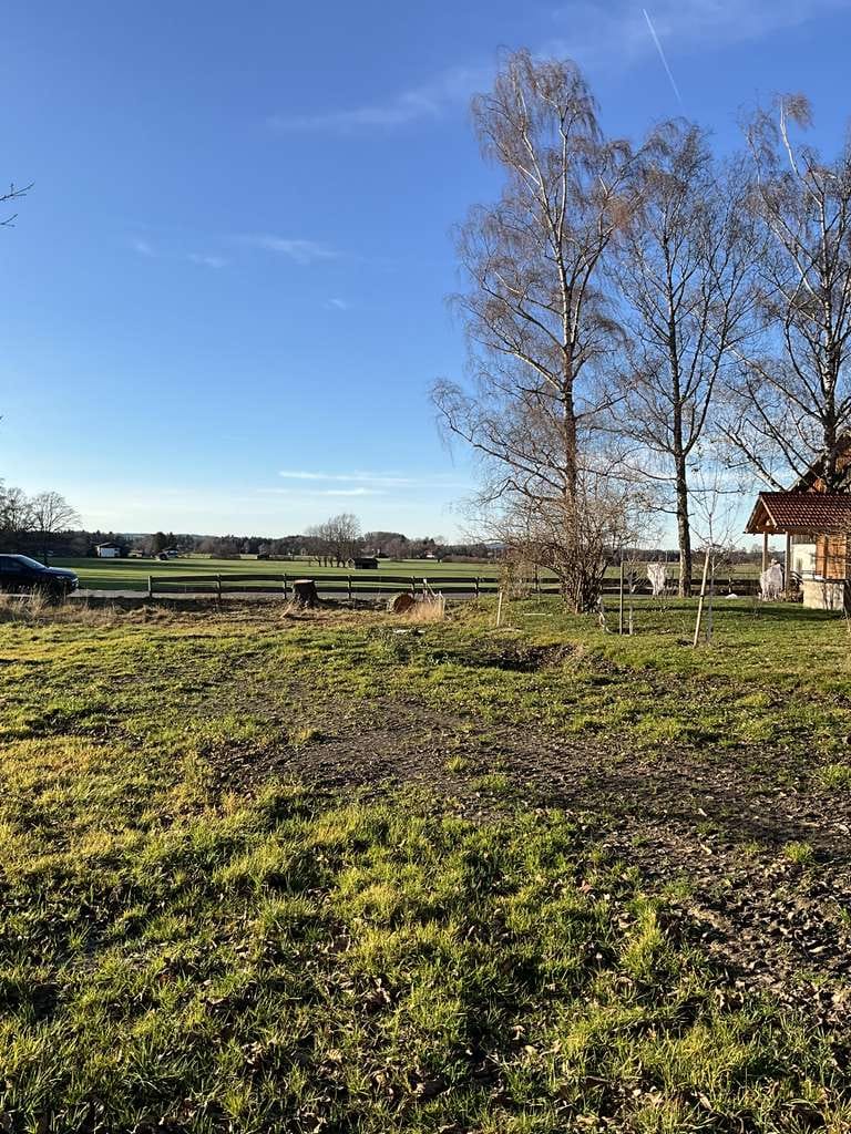 Immobilie in Übersee - Doppelhaushälfte in bester Ortsrandlage - mit Traumgrundstück - Bild 4