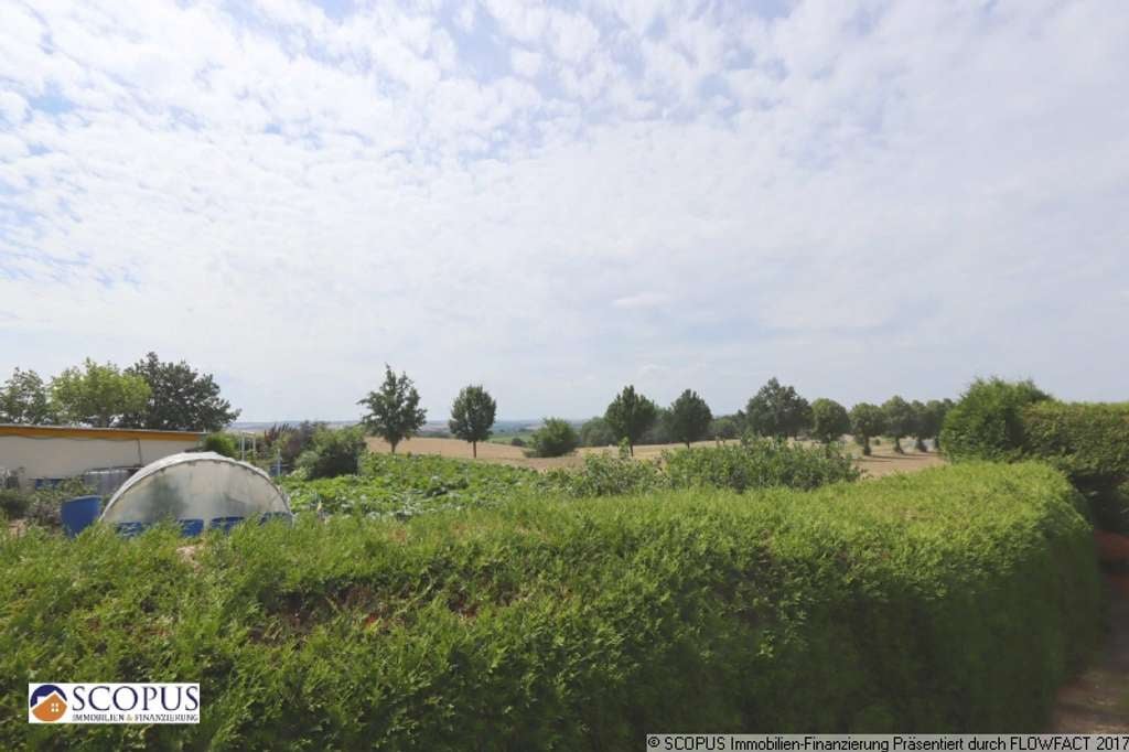 Immobilie in Käbschütztal - Großzügiges Einfamilienhaus mit wunderschönem Garten und Weitblick über die Felder - Bild 4