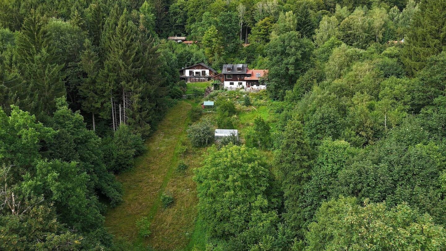 Immobilie in Schöllnach - Zwei tolle Landhäuser mit traumhafter Aussicht über die Donauebene! Anwesen mit ca. 2 ha Grund nähe Grattersdorf - Bild 1