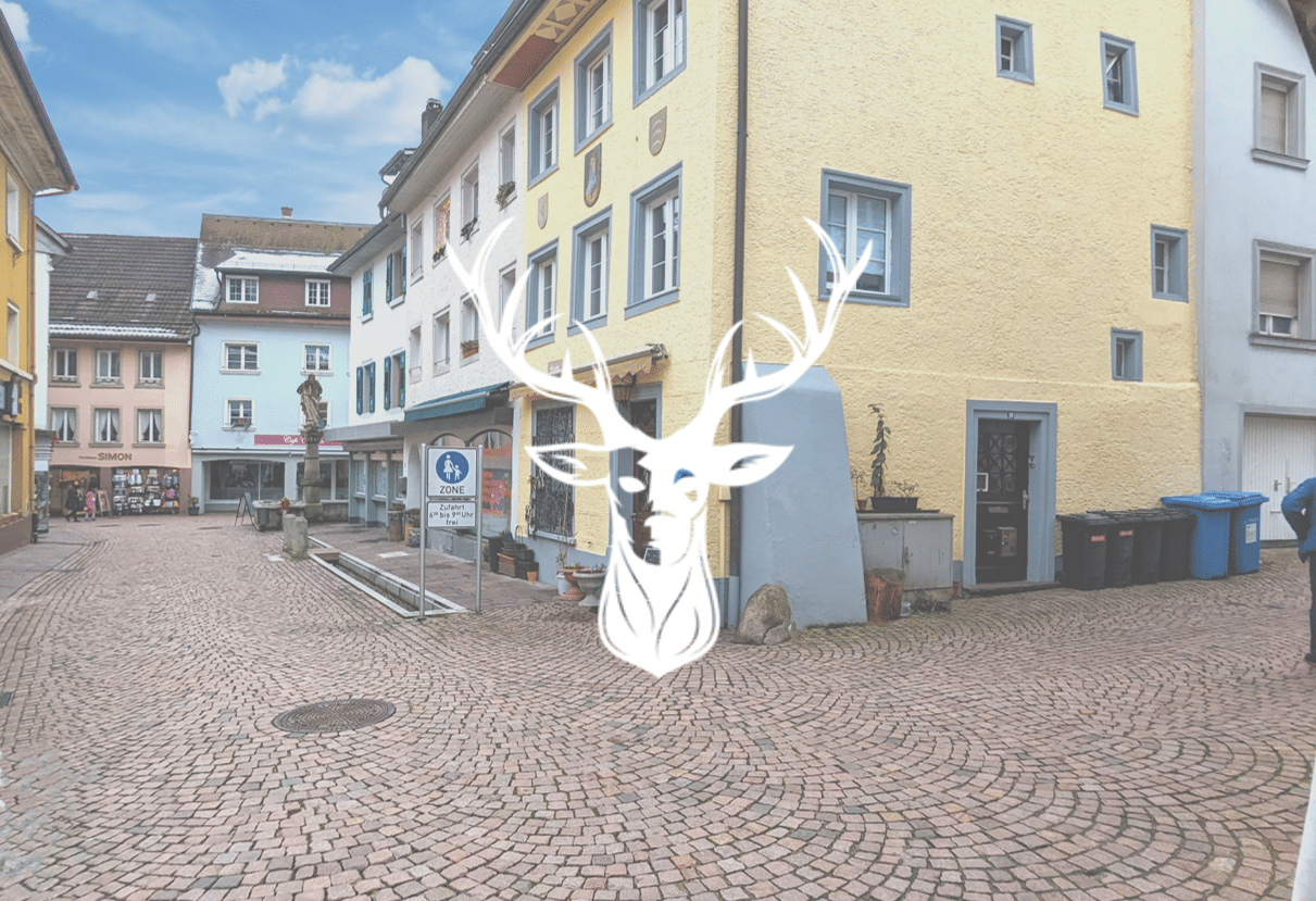 Immobilie in Waldshut-Tiengen - Renovierungsbedürftiges Mehrfamilienhaus in bester Innenstadt Lage von Tiengen zu verkaufen - Bild 0