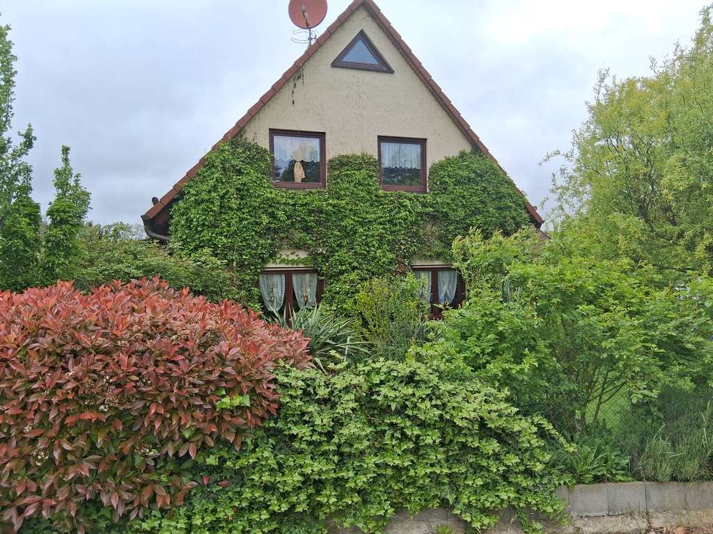 Immobilie in Hettstedt - Eifamilienhaus (BJ 2001) in ruhiger Siedlungslage zu verkaufen - Bild 0