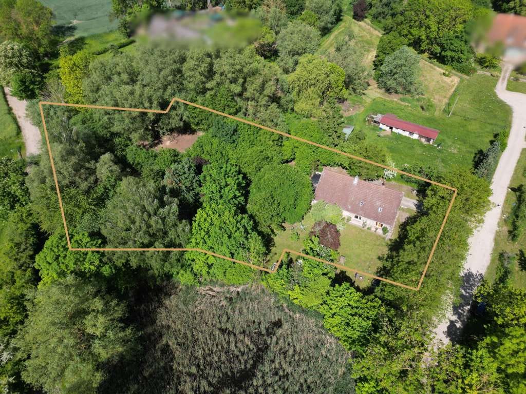 Immobilie in Dargun - Naturparadies mit Seele – ökologisch saniertes Landhaus mit Atelier, Teich & alten Obstbäumen! - Bild 4