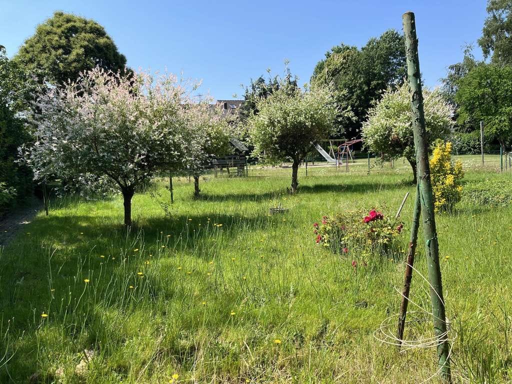 Immobilie in Salzbergen - Ein-/Zweifamilienhaus mit viel Potential - Bild 4