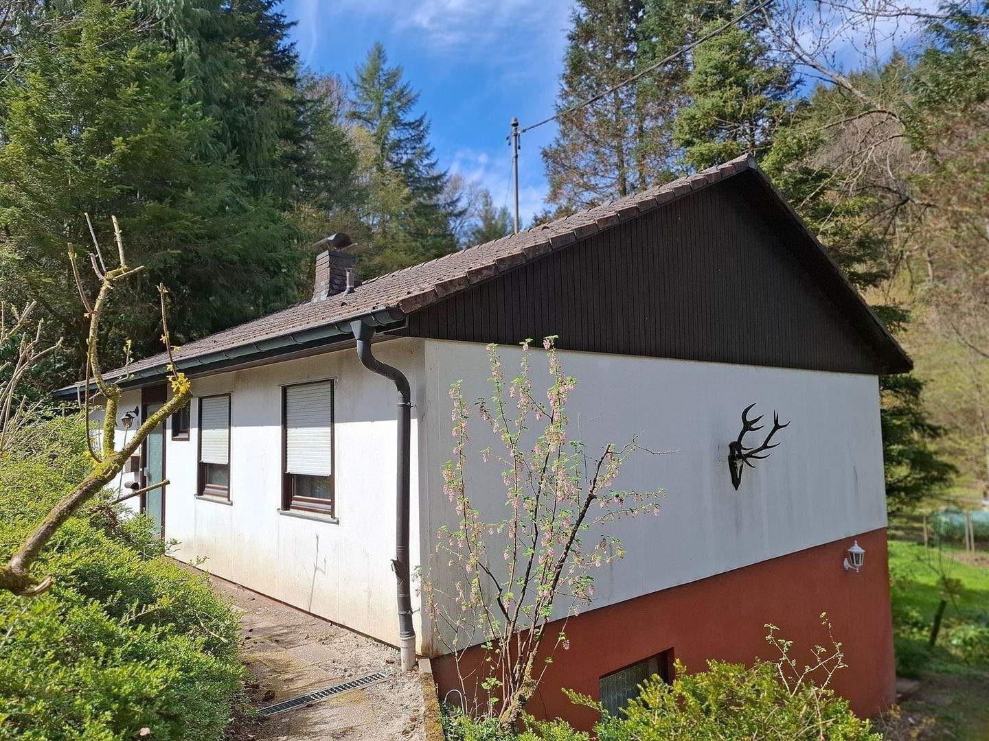Immobilie in Heiligkreuzsteinach - Handwerkerhaus in Waldrandlage - ein Juwel unter Halbedelsteinen - Bild 0