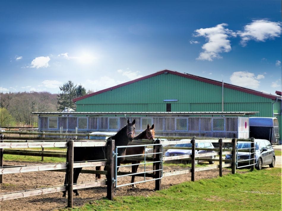 Immobilie in Nordhastedt - Vorbildliche Reitanlage zum Top-Preis !
inklusive großzügigem Wohnhaus
bei Heide - Holstein - Bild 0