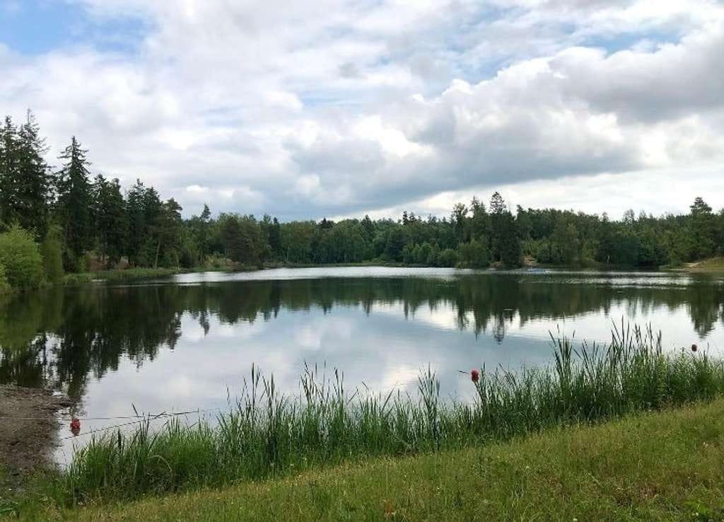 Immobilie in Ballenstedt - Gemütlicher Ferienbungalow mit Garten - Bild 2