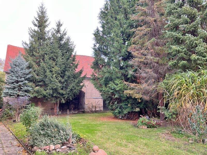 Immobilie in Oschatz - Idyllisches Grundstück mit eigenem Quellteich, Baumbestand und stark sanierungsbedürftigem Wohnhaus sowie großer Sche... - Bild 4