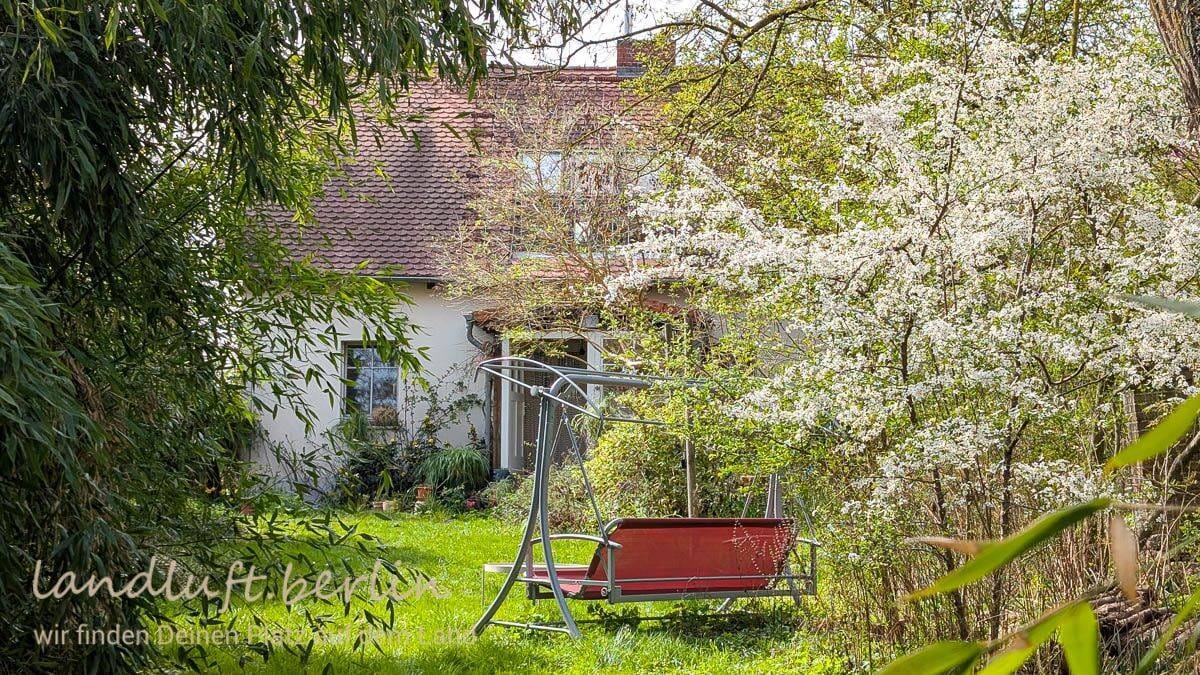 Immobilie in Randowtal - Kleiner Hof in Alleinlage mit großem Grundstück, so vielgestalt wie die uckermärkische Landschaft - Bild 1