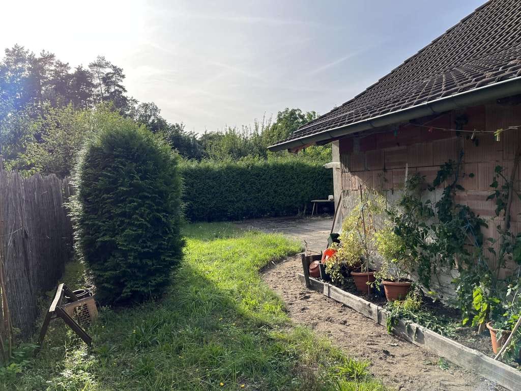 Immobilie in Crinitz - Idyllische & ruhige Lage direkt am Wald - Bild 1