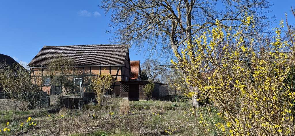 Immobilie in Dannenberg - Stadtnahes Wohnen auf großem Grundstück - Viel Platz für Ihre Ideen - Bild 3