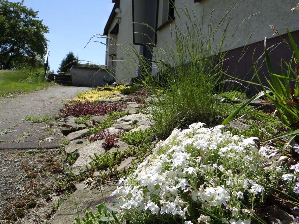 Immobilie in Waldhufen - IHR neues zu Hause? Einfamilienhaus in Diehsa - Bild 3