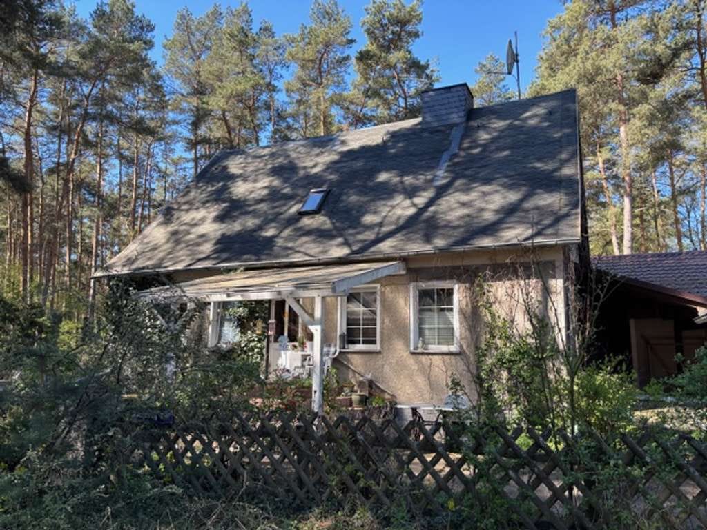 Immobilie in Borkheide - Großes Einfamilienhaus in natürlicher, idyllischer Lage - Bild 1