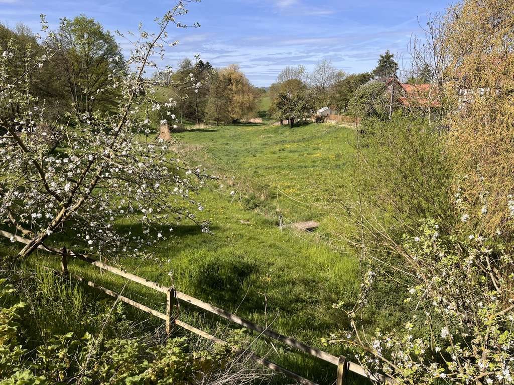 Immobilie in Bürgel - Historischer Dreiseitenhof mit großem Grundstück – viel Platz für Leben, Tiere und neue Ideen - Bild 3