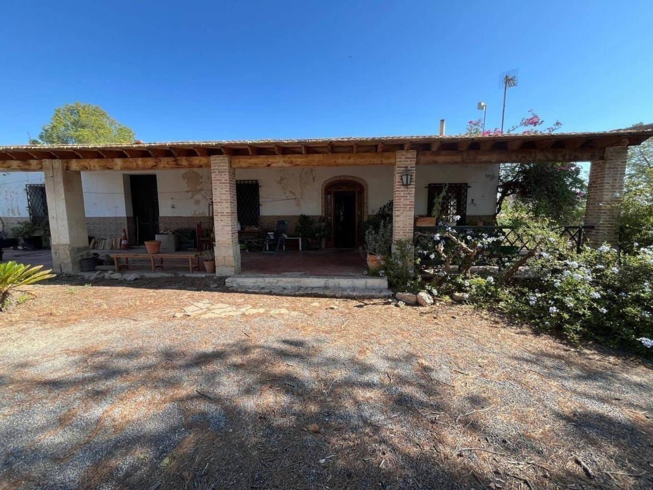 Immobilie in Calau - Chalet - Elche - Elx - Bild 1
