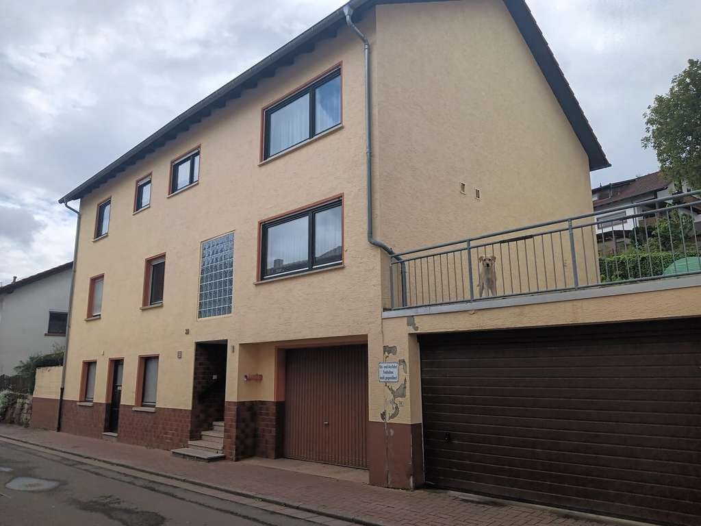 Immobilie in Ramsen - Einfamilienhaus mit Waldgrundstück zu verkaufen - Bild 0