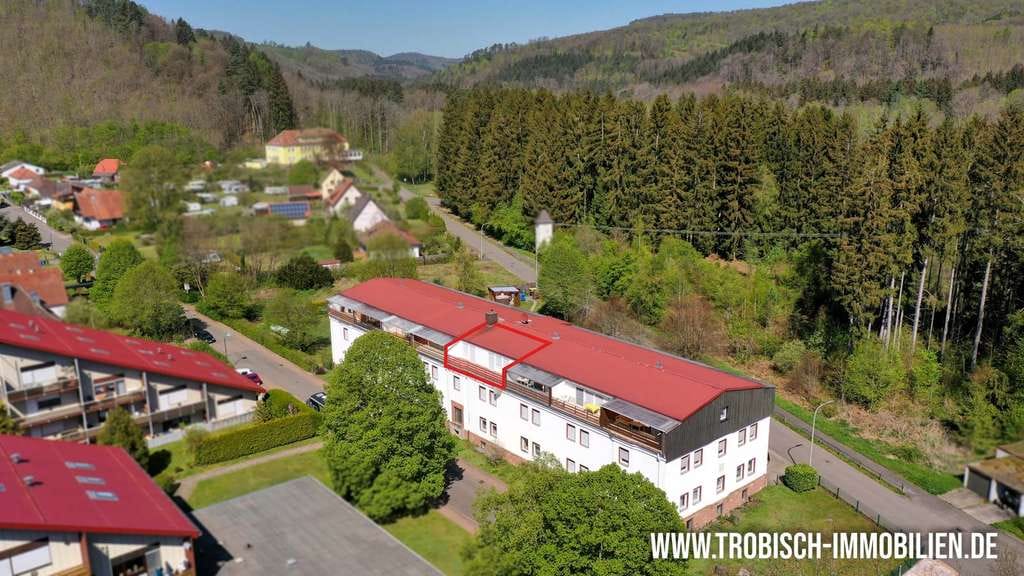 Immobilie in Ludwigswinkel - 2-Zimmer-Apartment oder Ferienwohnung - ruhige Waldrandlage in Ludwigswinkel am Schöntalweiher! - Bild 1