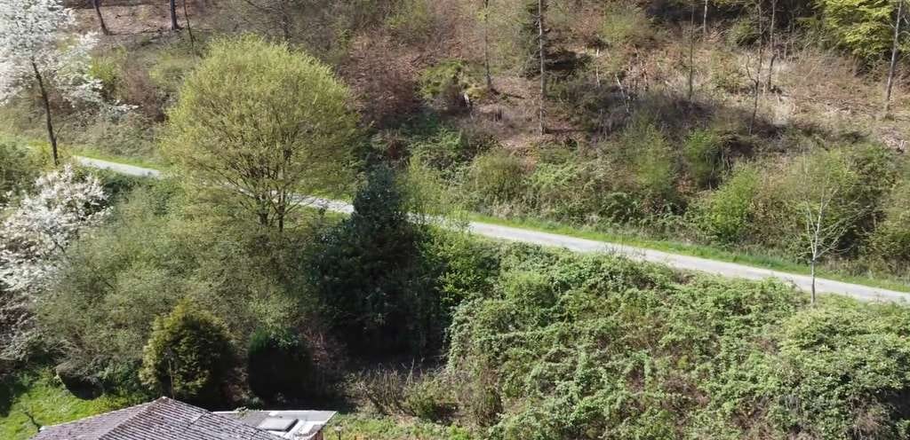 Immobilie in Bammental - Charmante Doppelhaushälfte in Bammental - Bild 4