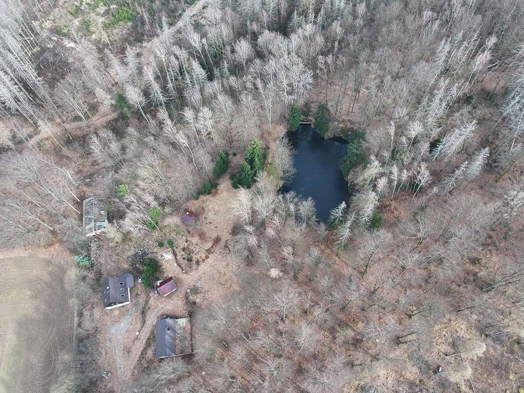 Immobilie in Neukirch/Lausitz - Ausstieg ohne Auswanderung - EFH Refugium in Top Alleinlage - Bild 2