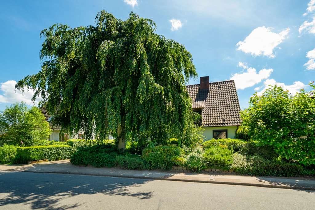 Immobilie in Kölln-Reisiek - Top-Lage nahe Hamburg, parkähnliches Grundstück, interessanter Preis: Einfamilienhaus mit Potenzial. - Bild 0