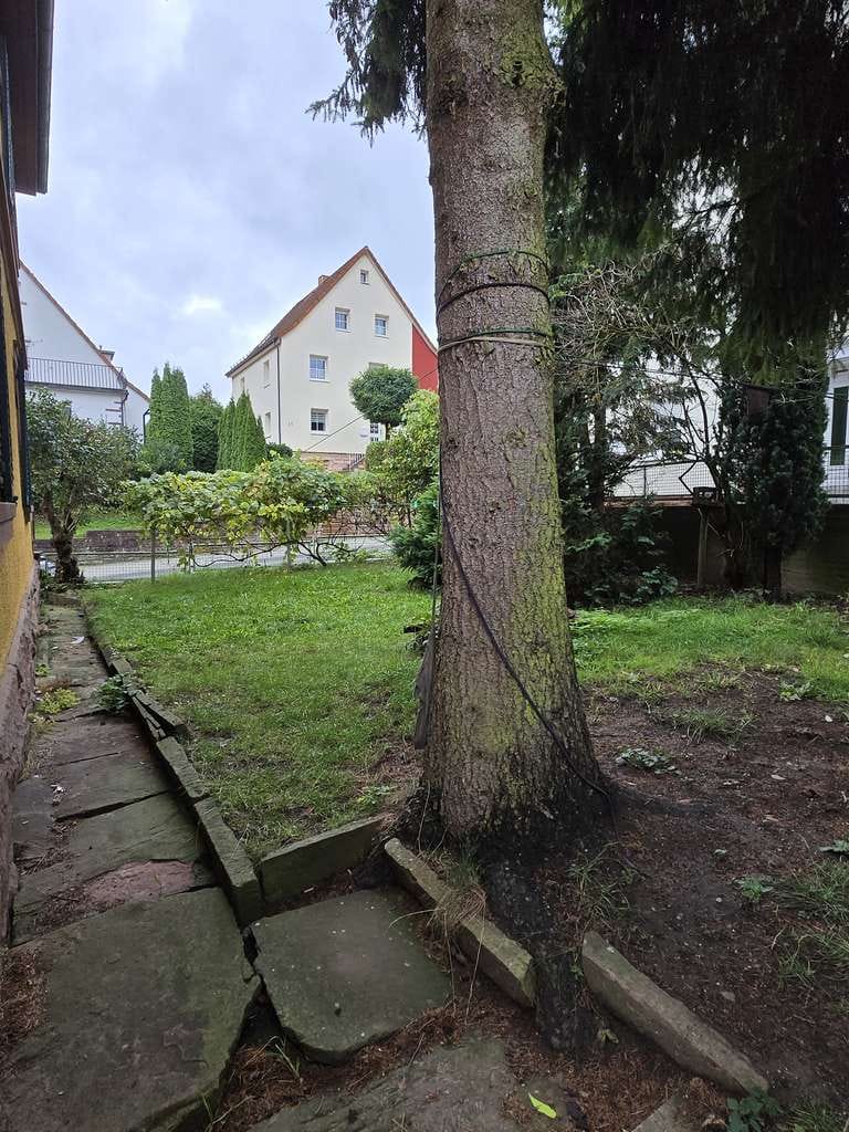 Immobilie in Buchen (Odenwald) - Immobilienpaket mit ca. 7% Rendite  - Bild 4