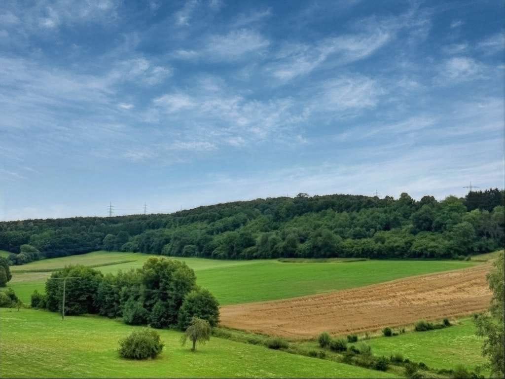 Immobilie in Hochdorf - Terrassenhaus in wunderschöner naturnaher Lage - Bild 2