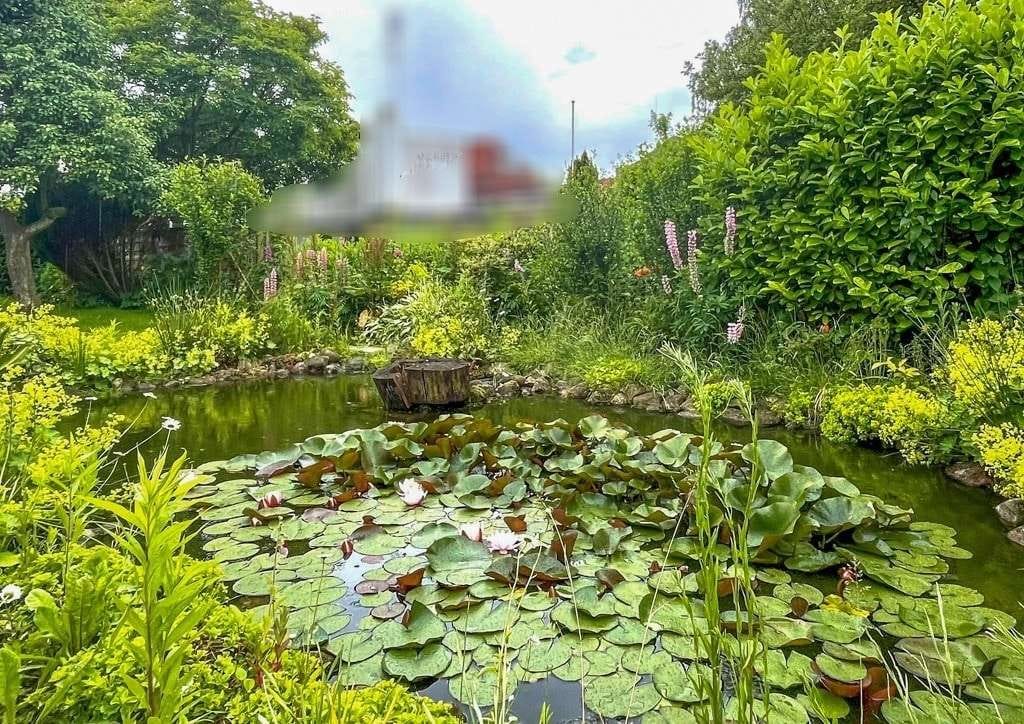 Immobilie in Tönning - Nur 3 Gehminuten zum Tönninger Hafen! Einfamilienhaus mit gepflegtem Garten und Garage! - Bild 2