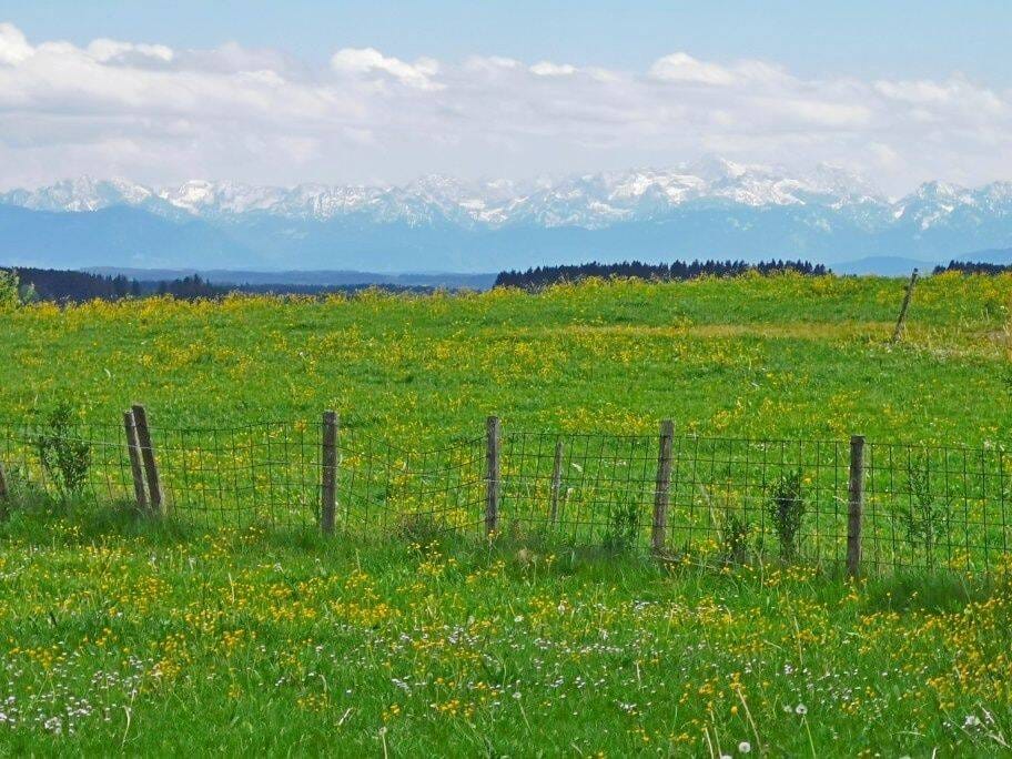 Immobilie in Aitrang - Bauernhaus in Weilerrandlage zw. Kempten u. Marktoberdorf im schönen Ostallgäu mit schöner Bergsicht - Bild 4