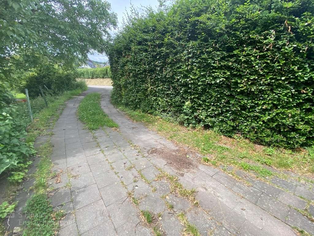 Immobilie in Mechernich - Mechernich-Weyer: Kapitalanlage mit zwei vermieteten Wohnhäusern auf großzügigem Grundstück - Bild 4
