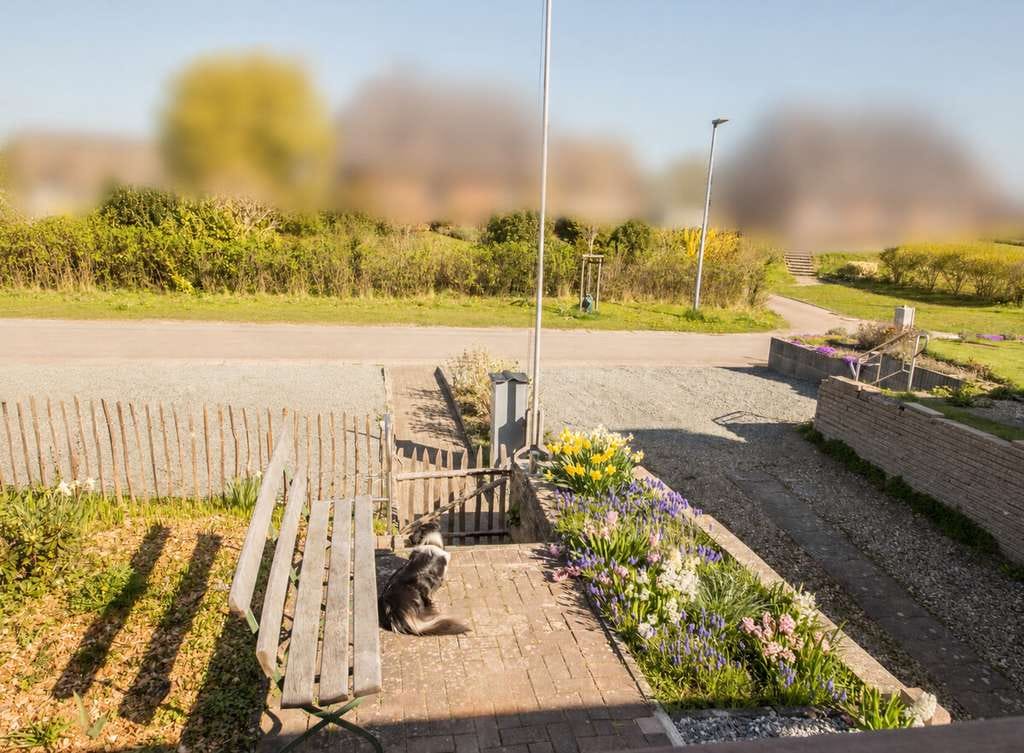 Immobilie in Kappeln - Zuhause an der Ostsee – mit Naturgarten und Keller - Bild 4