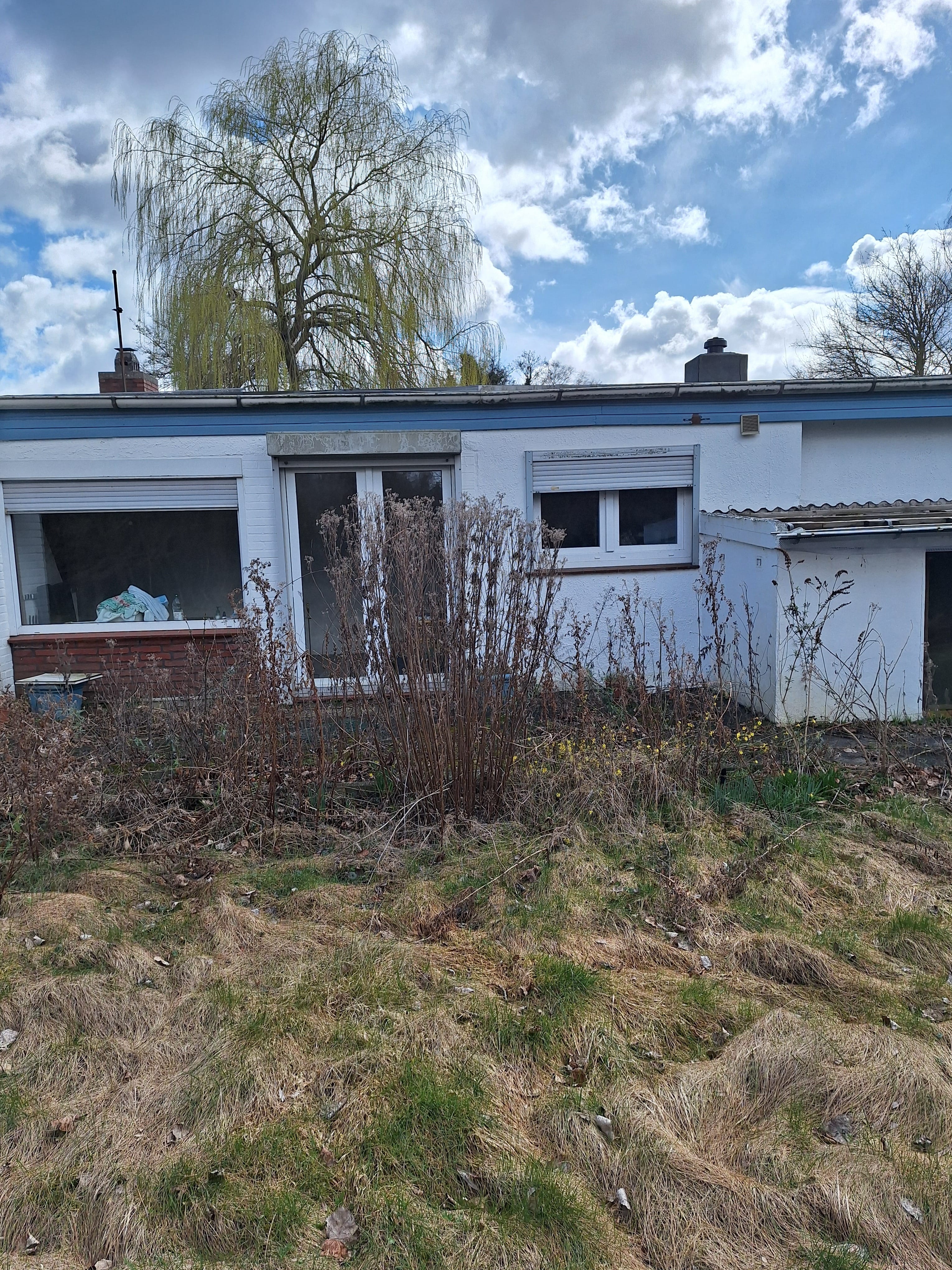 Immobilie in Timmendorfer Strand - Ferienhaus für Creative - Bild 1