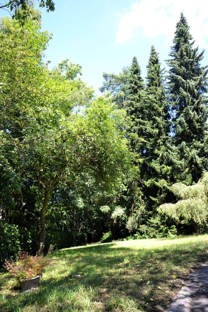 Immobilie in Hilchenbach - Provisionsfrei: Renovierungsprojekt übernehmen – EFH mit Natur & Privatsphäre - Bild 2