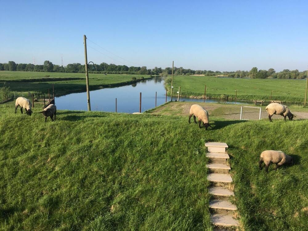 Immobilie in Haseldorf - Rarität !  Drei-Familienhaus mit Wasserblick unmittelbar am Elbdeich - Bild 1