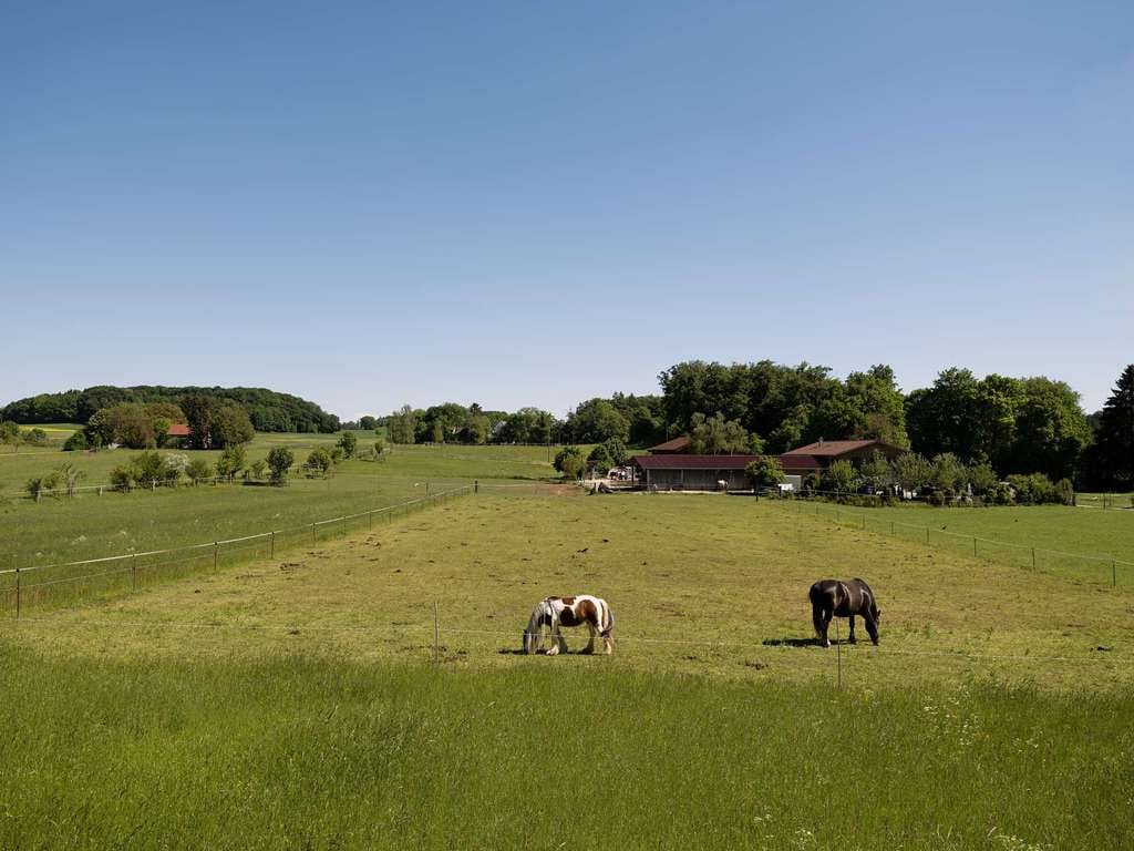 Immobilie in Weßling - Architekten-Bungalow in Traumlage mit Blick über Pferdekoppeln - Bild 1