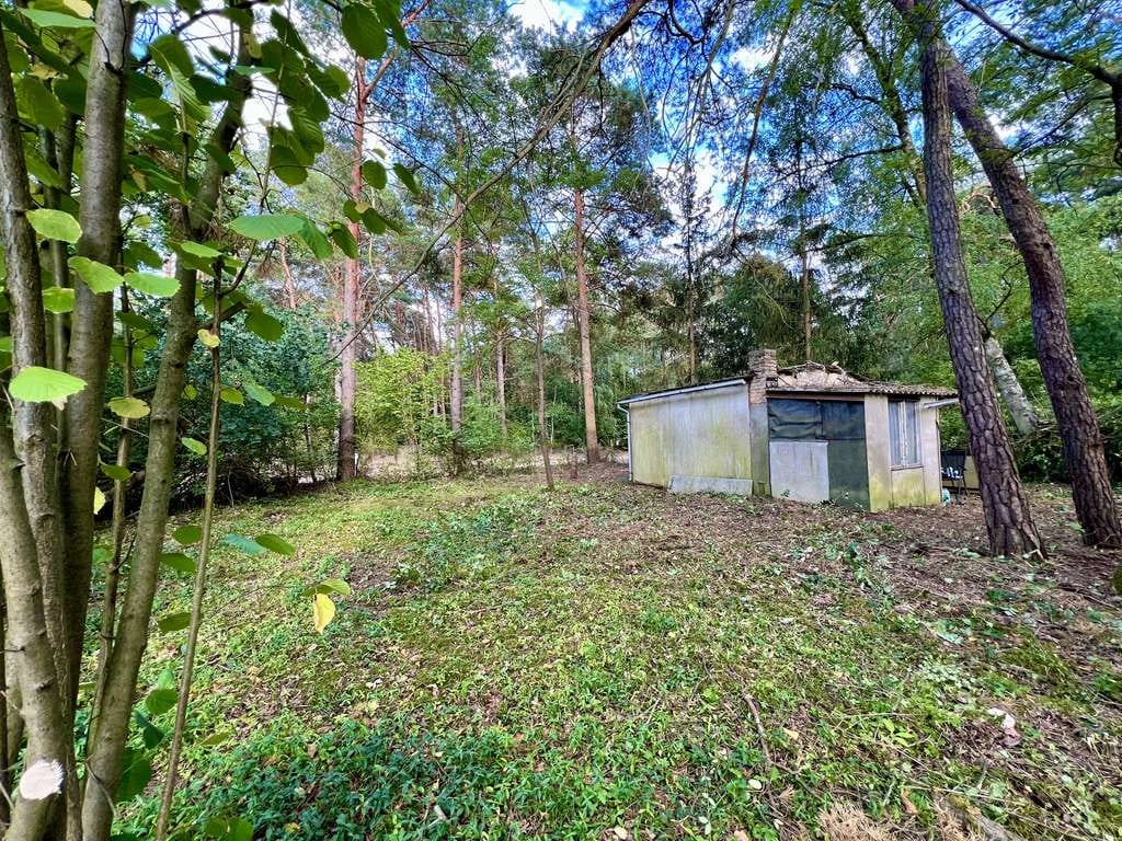 Immobilie in Borkheide - Waldgrundstück mit Bestandsgebäude in Borkheide 799 m² Nähe Berlin - Bild 2