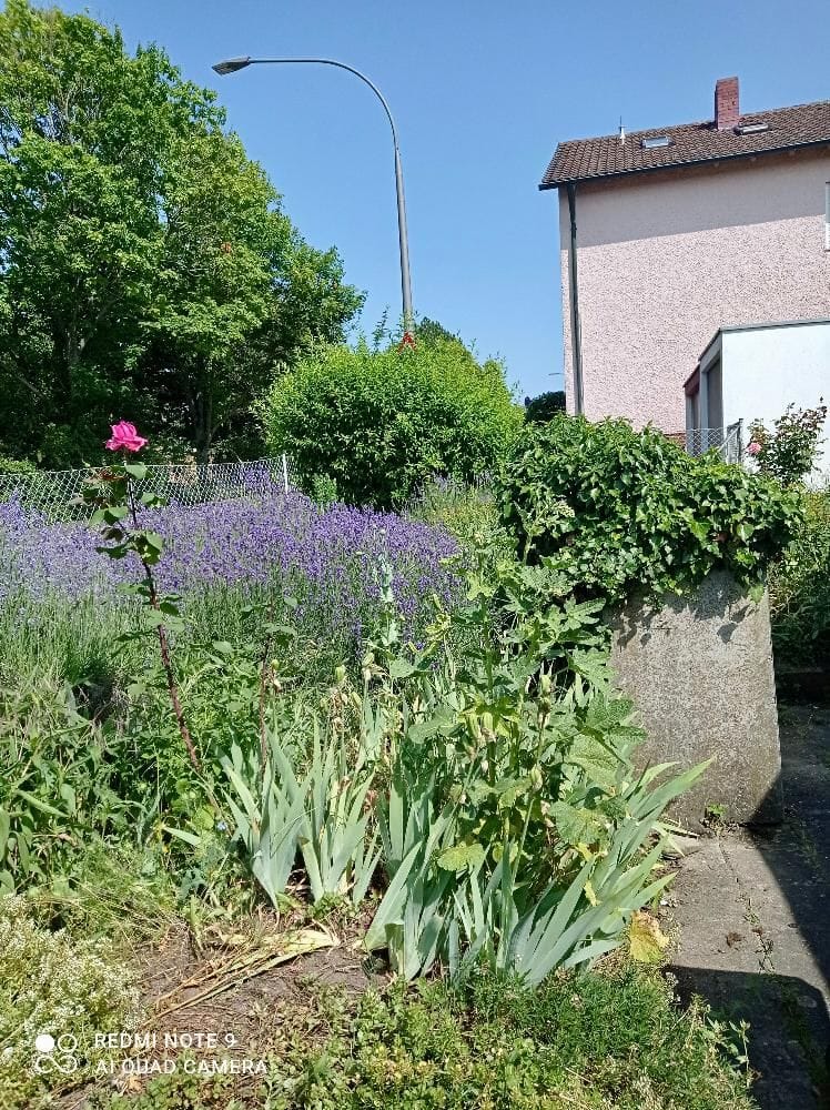 Immobilie in Schweinfurt - DHH mit Garage auf großem Grundstück in der Gartenstadt zu verkaufen - Bild 4