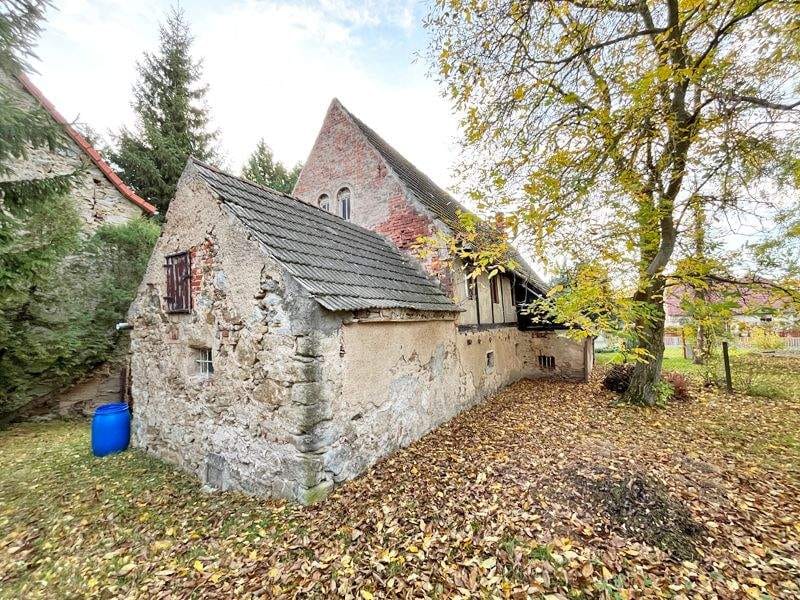 Immobilie in Oschatz - Idyllisches Grundstück mit eigenem Quellteich, Baumbestand und stark sanierungsbedürftigem Wohnhaus sowie großer Sche... - Bild 3