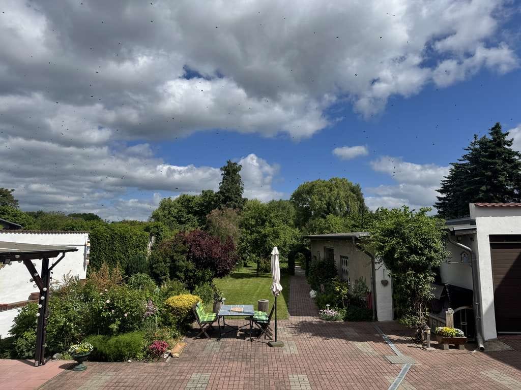 Immobilie in Chorin - Super gepflegtes Haus, neue Energietechnik,  schöner Garten und massive Nebengebäude - Bild 5