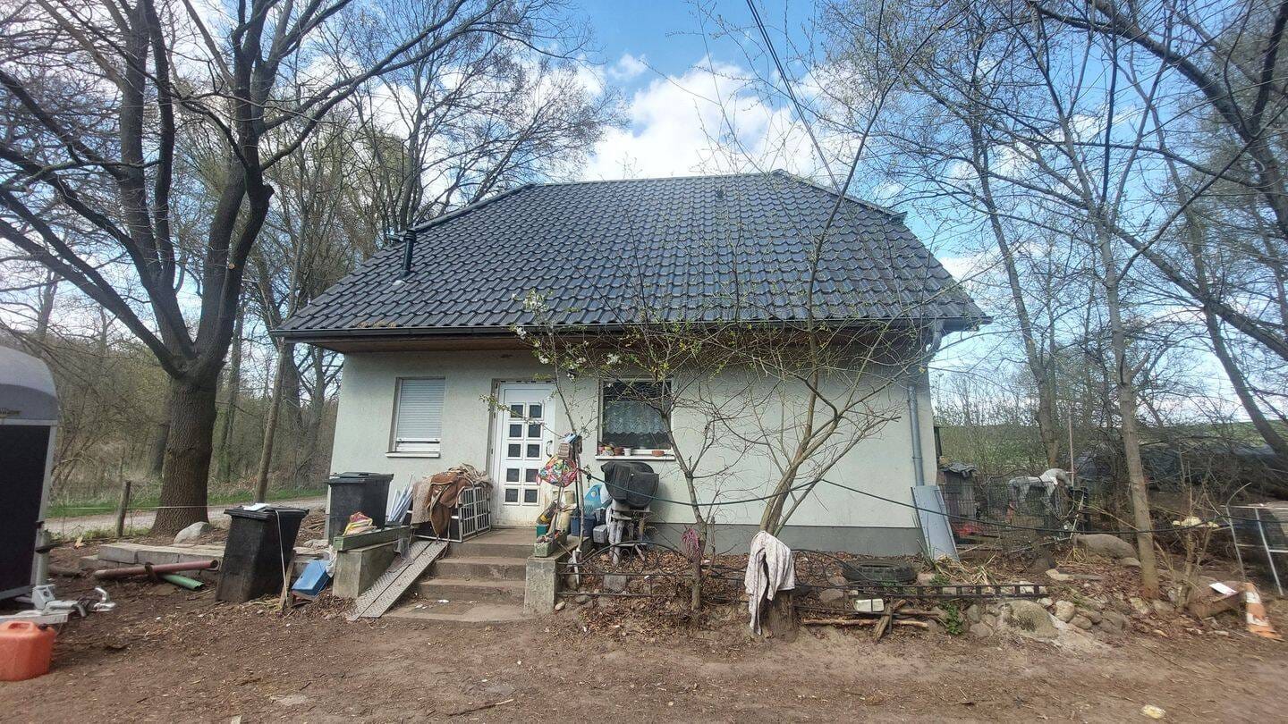 Immobilie in Vierlinden - Reiterhof mit Einfamilienhaus - Bild 1