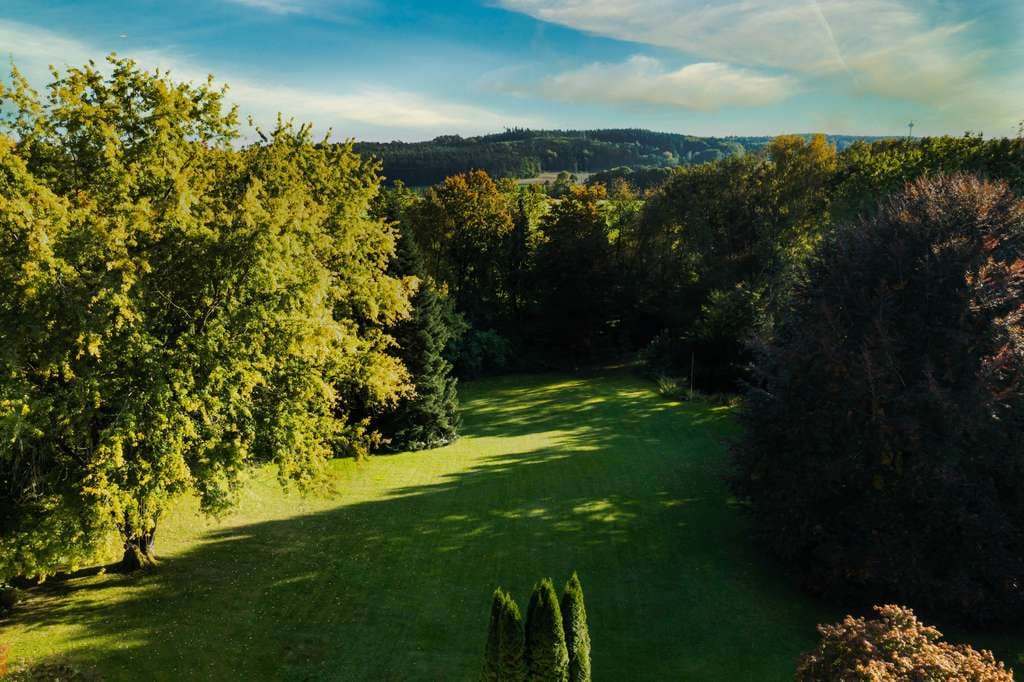 Immobilie in Petersdorf - „Viel Raum zum Leben: 400 m² Wohnfläche auf herrlichem Parkgrundstück – provisionsfrei“ - Bild 3