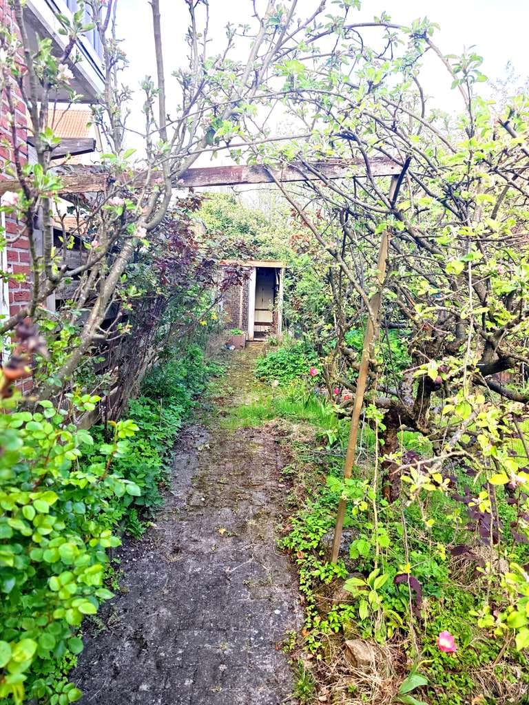 Immobilie in Vechta - Provisionsfrei! Einfamilienhaus mit Geschichte in zentraler Lage von Vechta - Bild 2