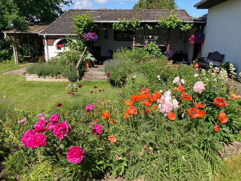 Immobilie in Süsel - Einfamilienhaus mit großem Grundstück - Bild 1