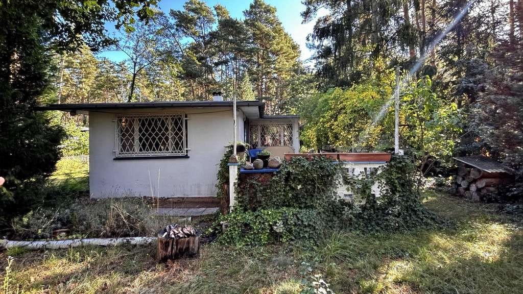 Immobilie in Bad Düben - Gestalten Sie Ihr Refugium im Grünen! - Bild 4