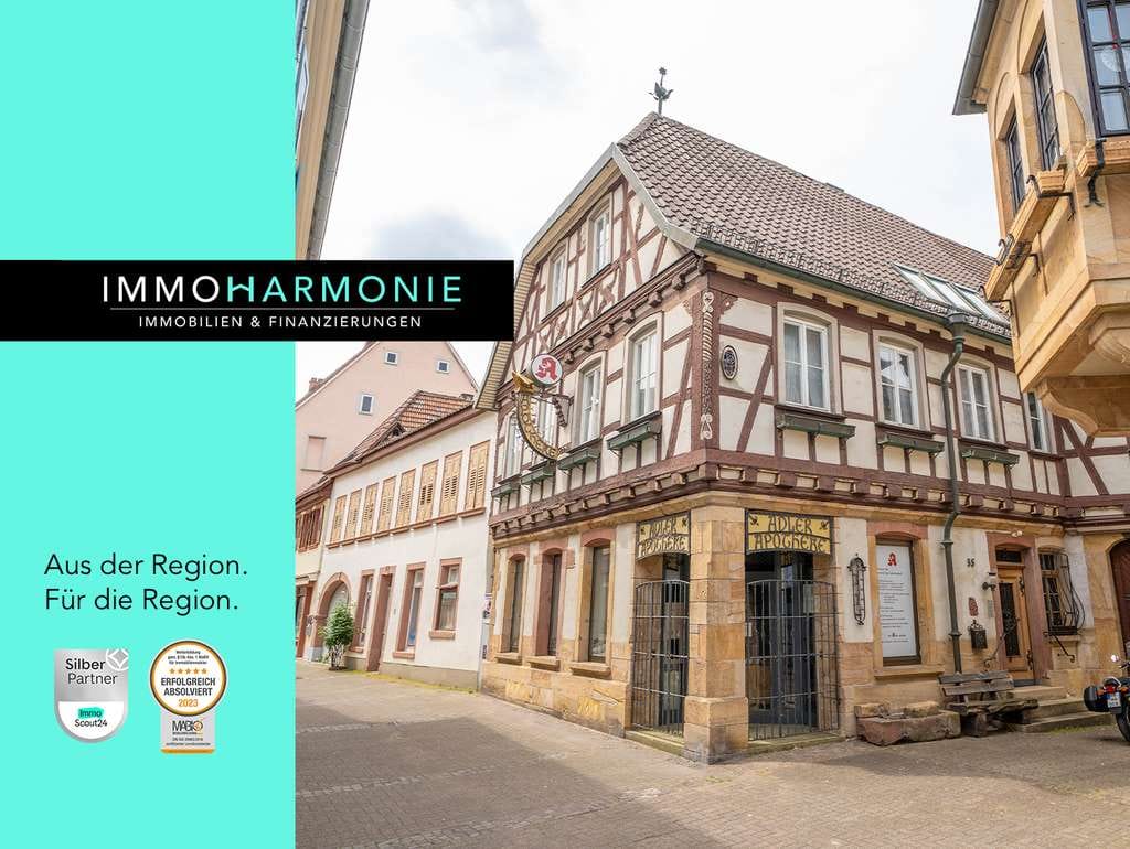Immobilie in Bad Bergzabern - Historisches Wohn-/Geschäftshaus mit Baureserve in Bestlage von Bad Bergzabern - Bild 0