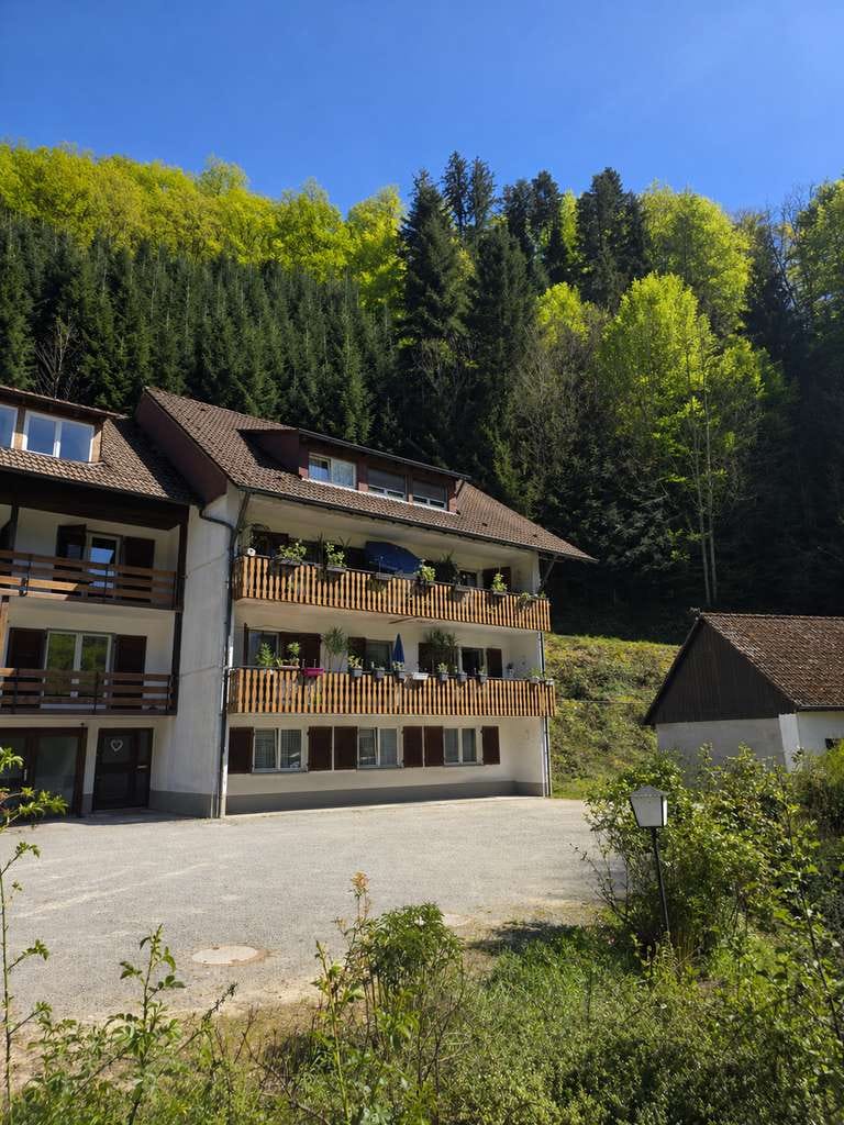 Immobilie in Oberharmersbach - 3 Wohnungen im Paket – - Bild 0