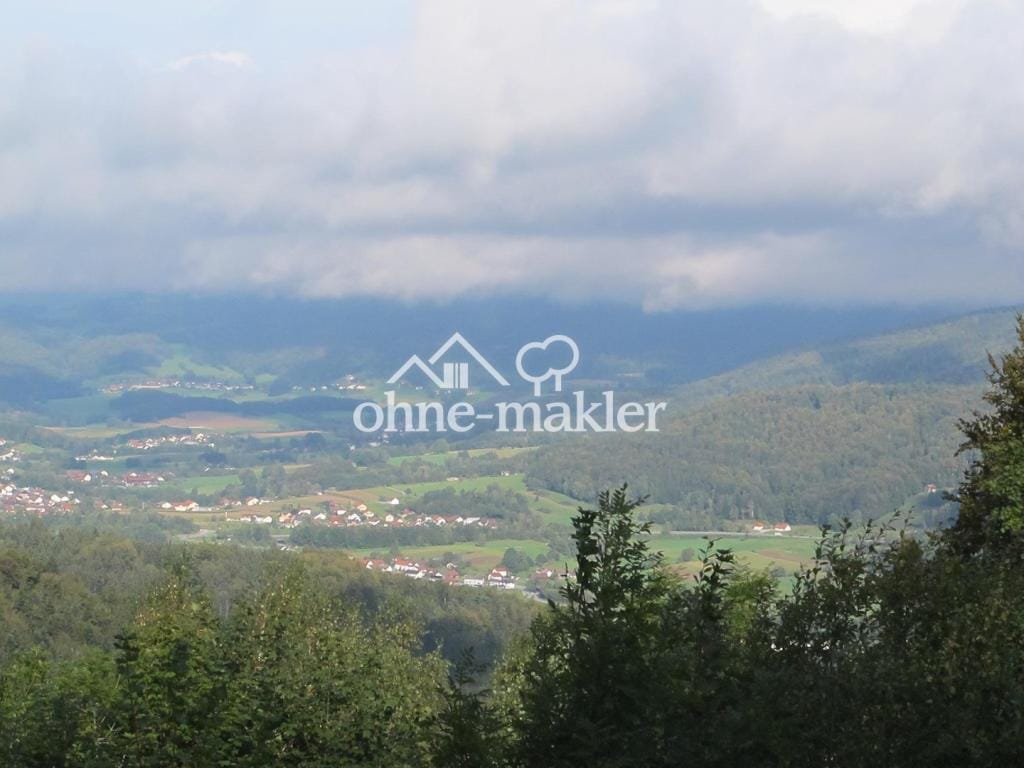 Immobilie in Schöfweg - Bauernhaus in Schöfweg - Bild 1