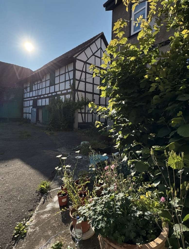 Immobilie in Nessetal - Wohnen mit Charakter: Mehrfamilienhaus in Nessetal - Bild 1